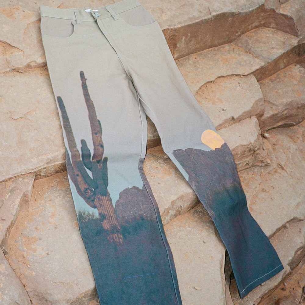 Robyn Jean Desert Moonset | Lisa Says Gah Womens Denim Pants Size 2